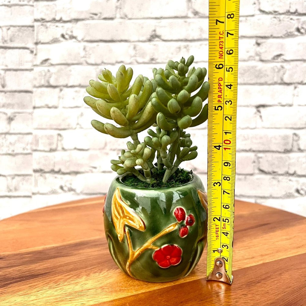 Beautiful Mini Green Succulent-Artificial