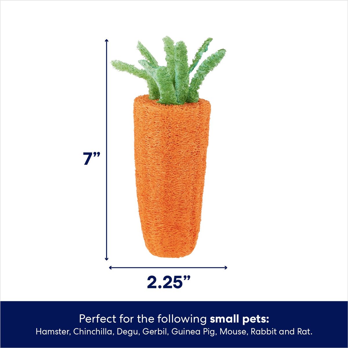 Frisco Carrot Loofah Small Pet Chew Toy