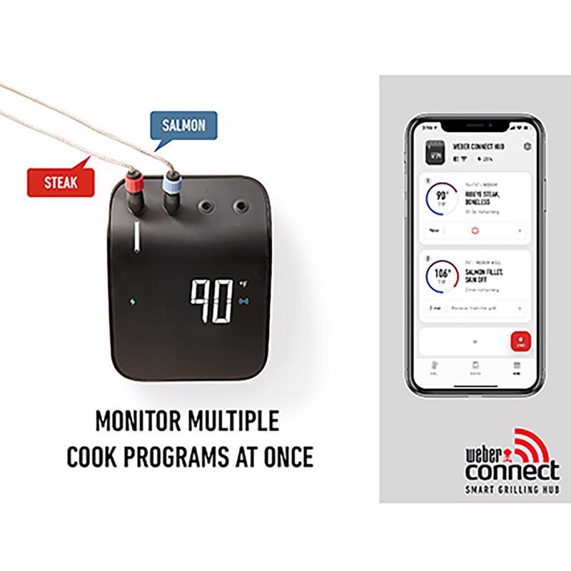 GRILL THERMOMETER WIFI