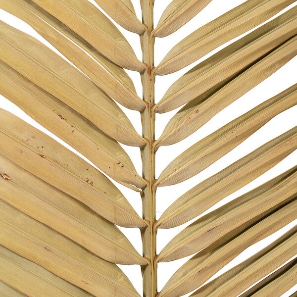 Vickerman 44 Natural Round Tip Palm Leaf，6 per bag.