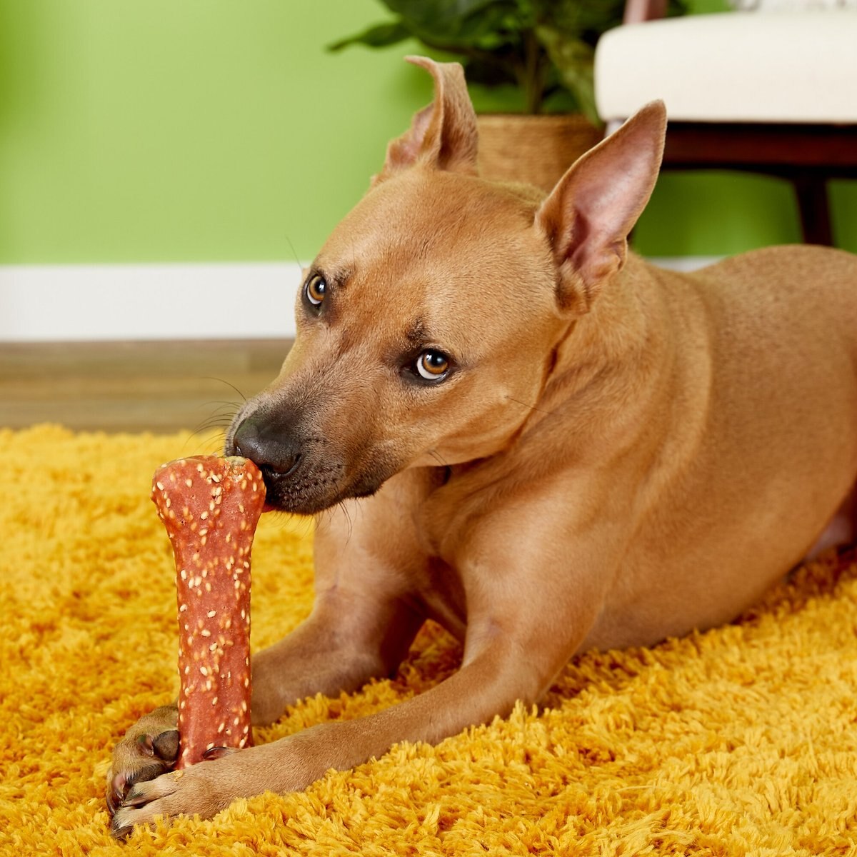 Pet 'n Shape Long Lasting Chewz Chicken Bones 8\