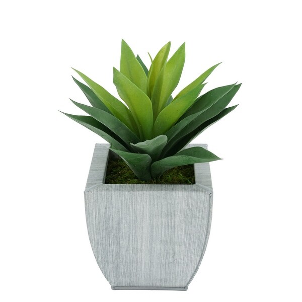 Faux Frosted Light Green Succulent in Tapered Zinc Planter