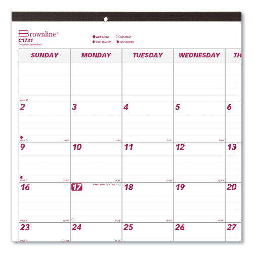 Brownline Professional Monthly Desk/Wall Calendar (C1731)