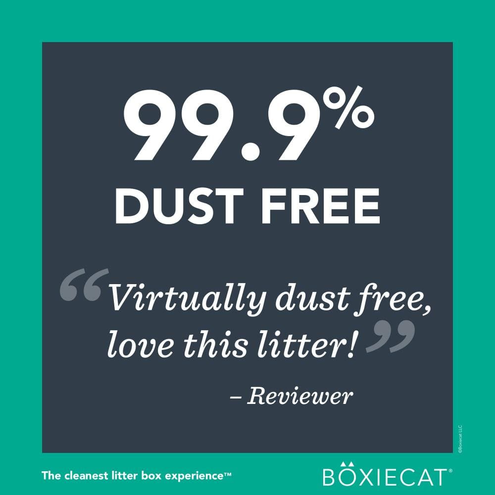 Boxiecat Gently Scented Premium Clumping Clay Litter