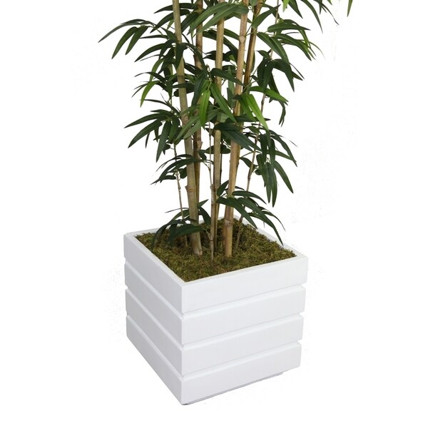 Vintage Home 78inch Tall Natural Bamboo Tree in 14inch Planter