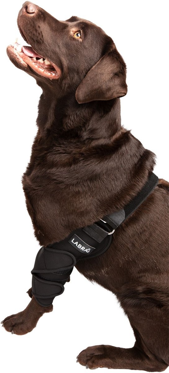 Labra Canine Dual Shoulder Elbow Dog Brace Wrap