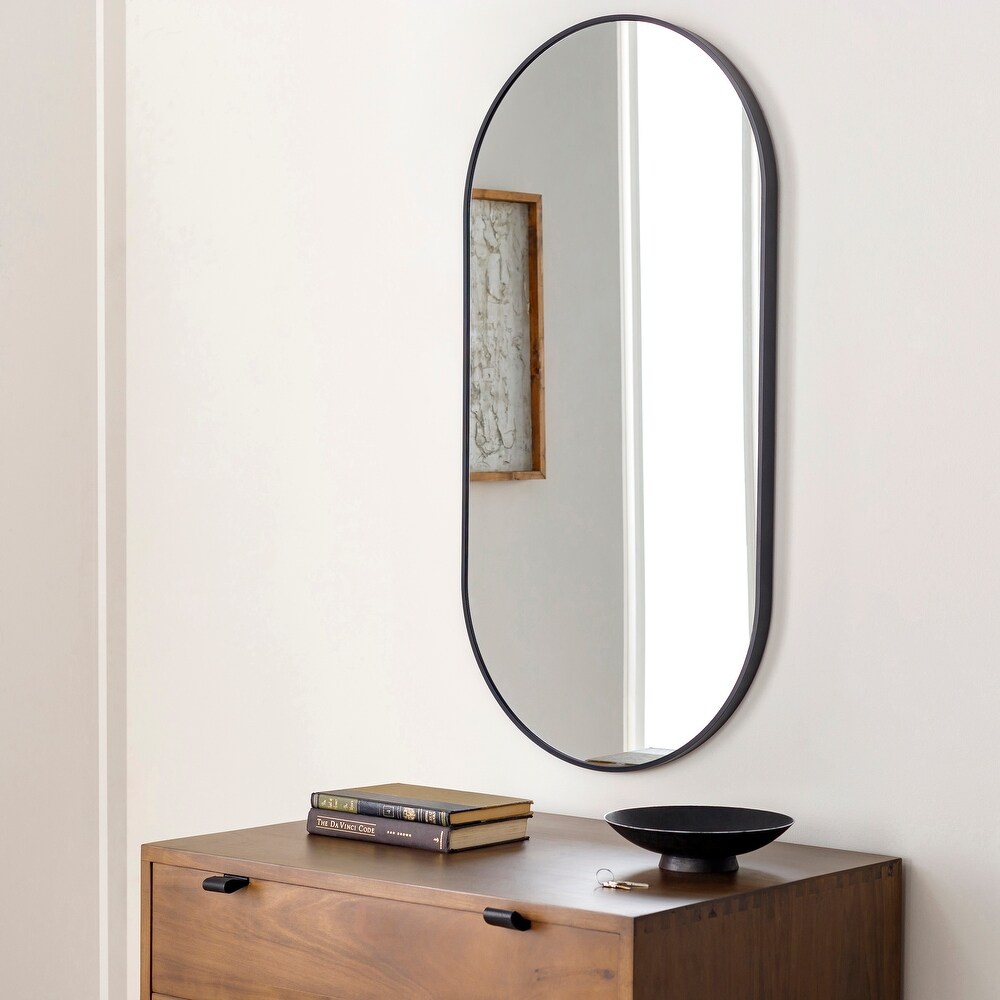 Artistic Weavers Aranya Modern Aluminum Oval Pill Shaped Accent Mirror