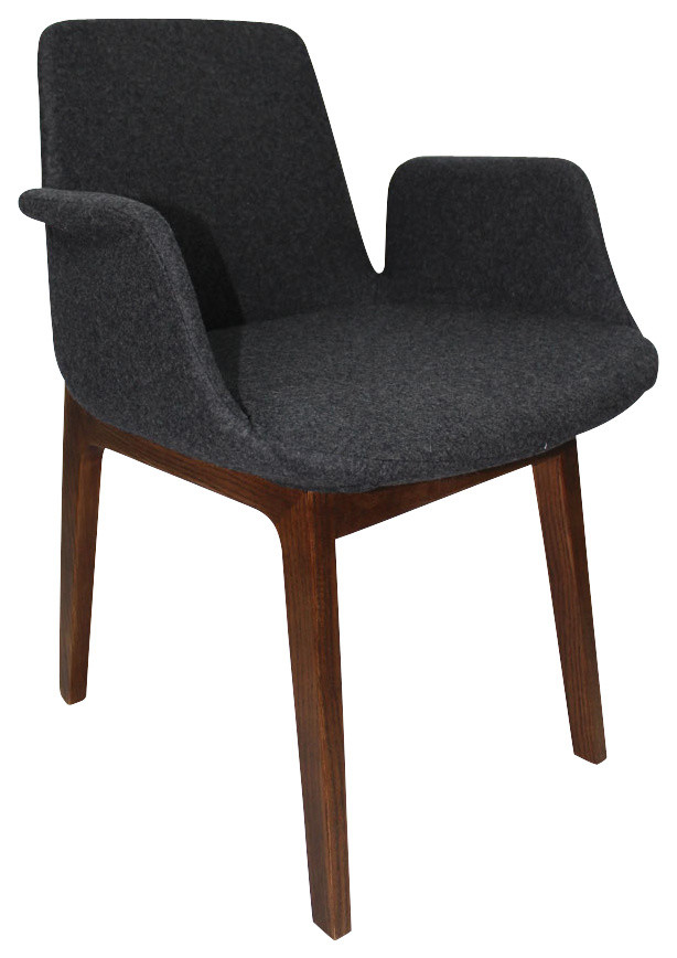 Ventura Chair   Midcentury   Armchairs And Accent Chairs   by Macer Home Decor  Inc.  Houzz