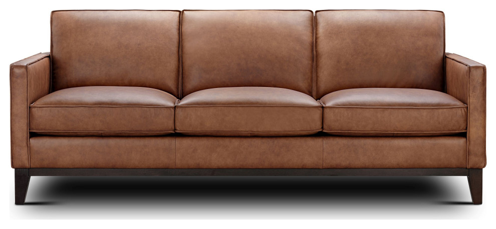 Pimlico 100% Top Grain Leather Sofa   Transitional   Sofas   by Hello Sofa Home  Houzz