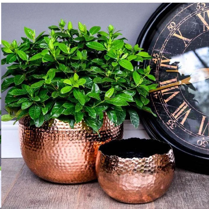 American Style Copper Metal Planter Home Indoor Outdoor Garden Usage Customized Size Metal Planter