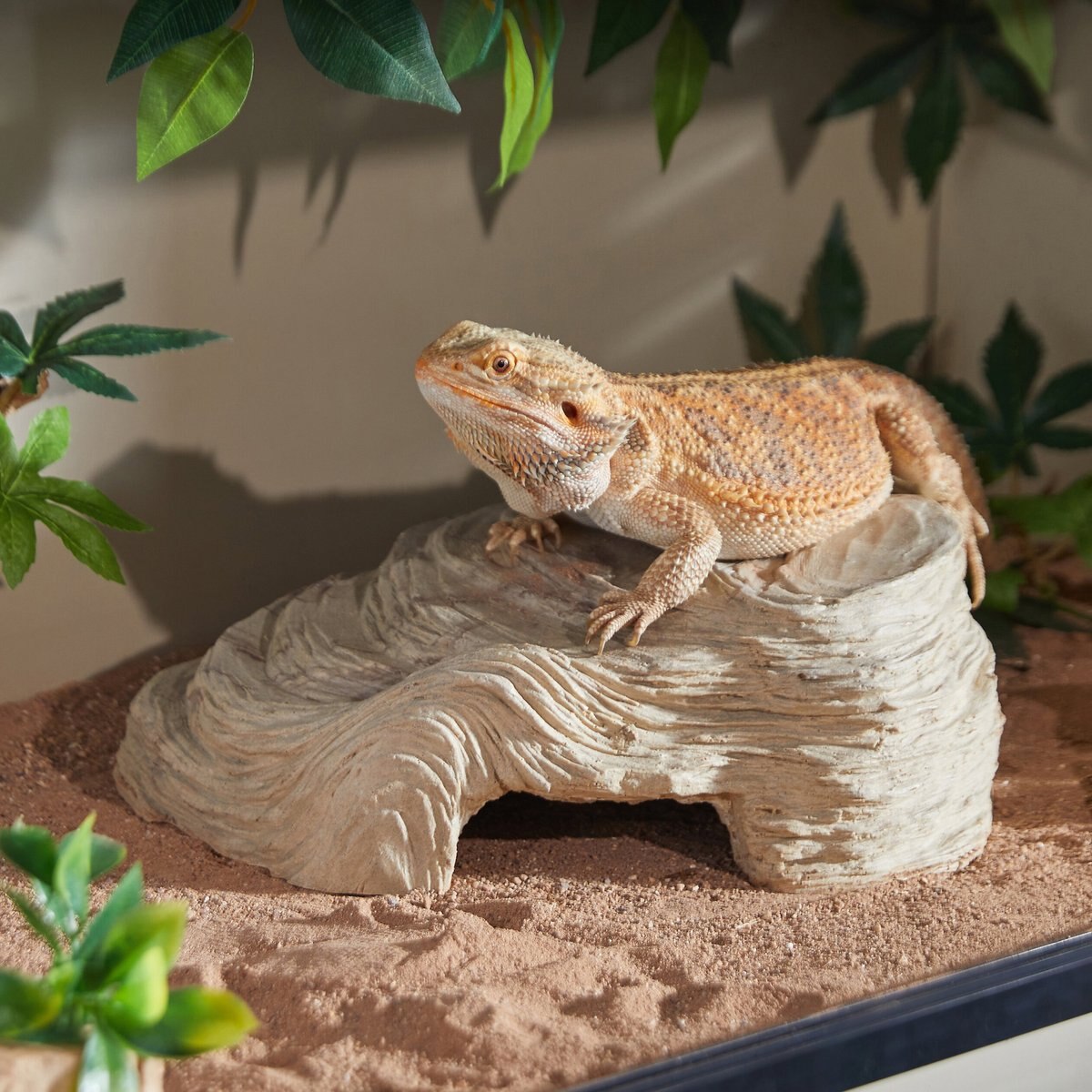 CC Pet Wavy Cave Reptile Hide