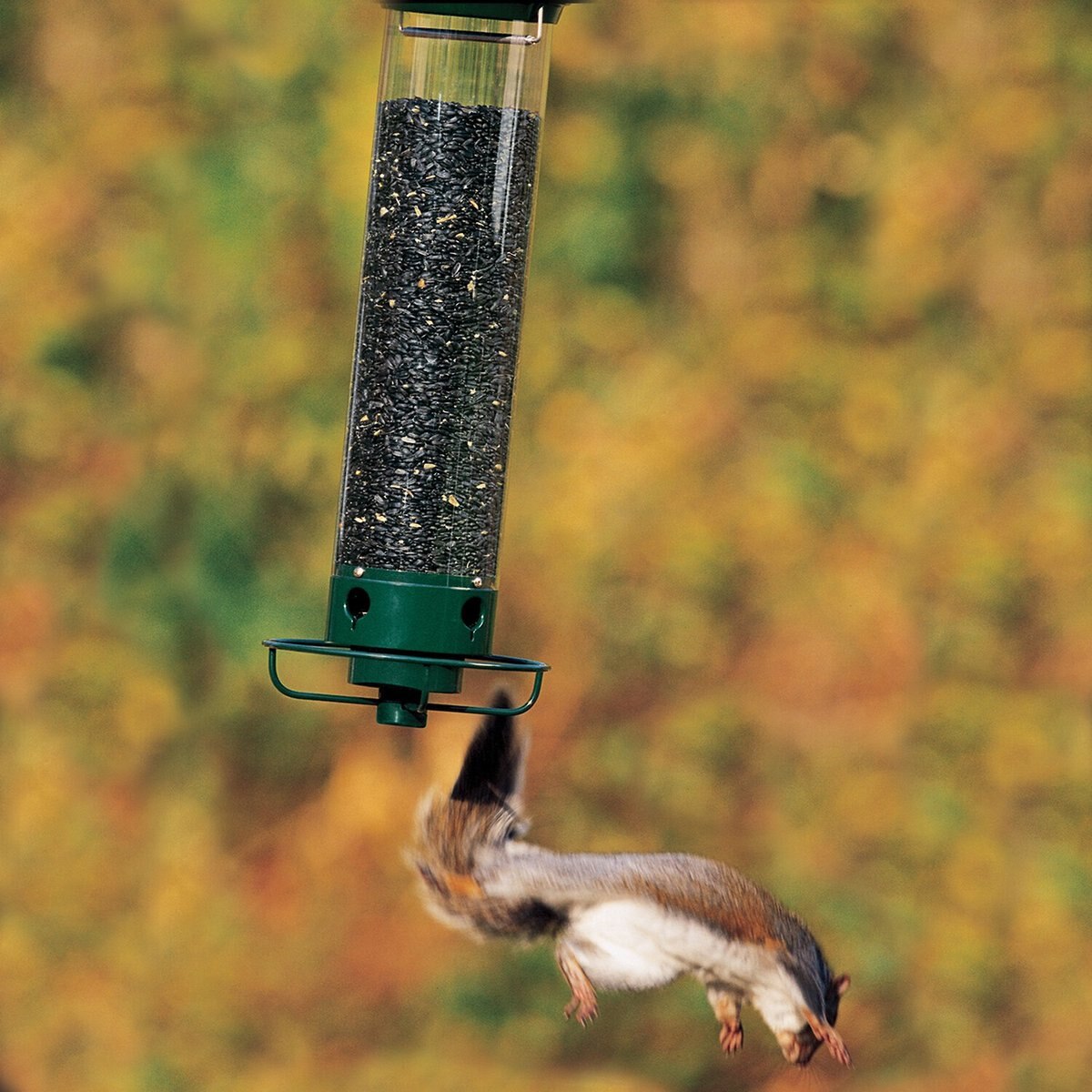 Droll Yankees Yankee Flipper Motorized Bird Feeder， 28.5-in