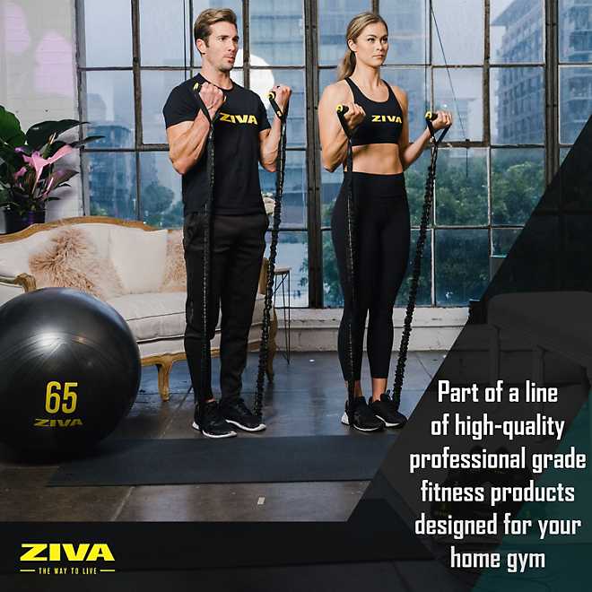 ZIVA Chic Anti-Burst Core Fit Ball