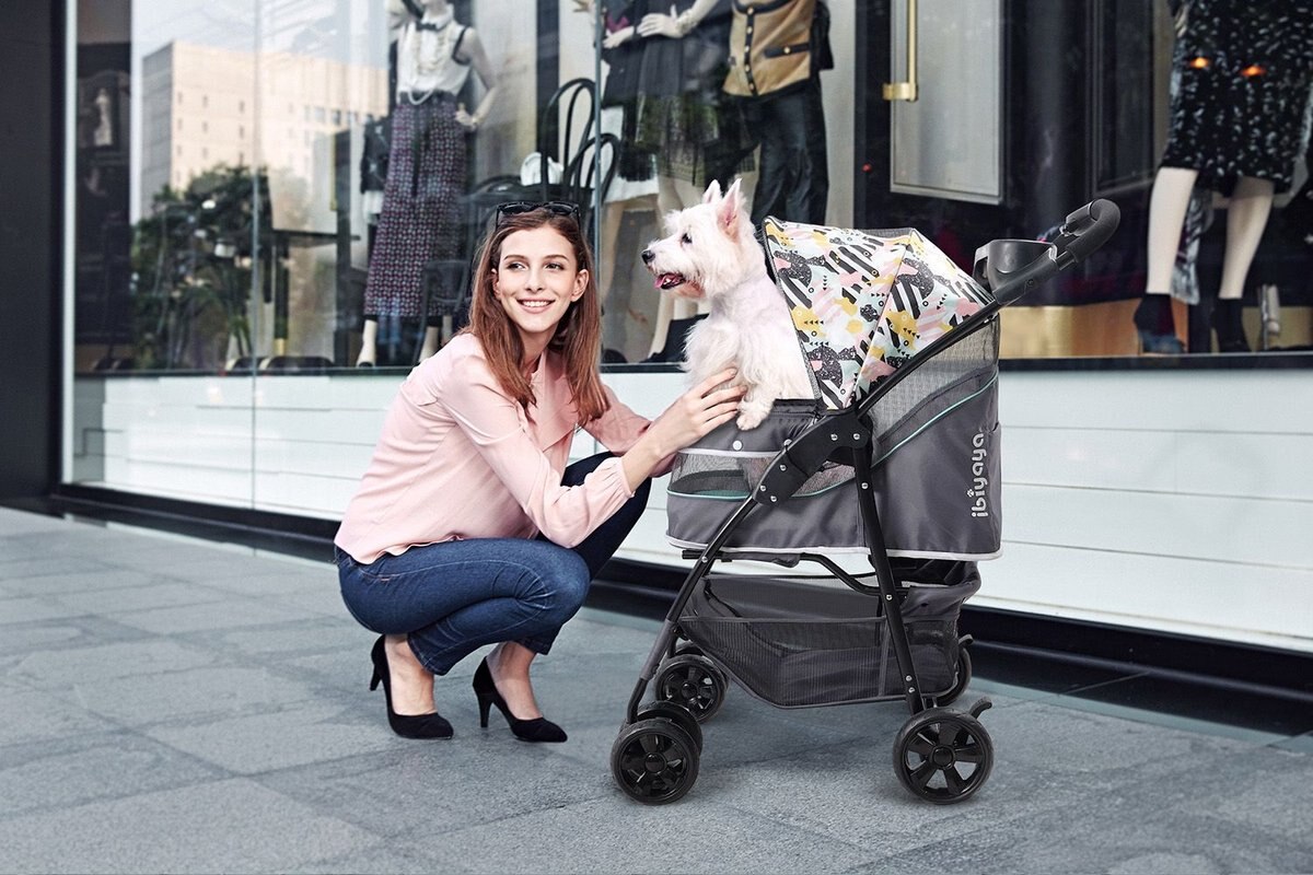 Ibiyaya Cloud 9 Dog and Cat Pet Stroller