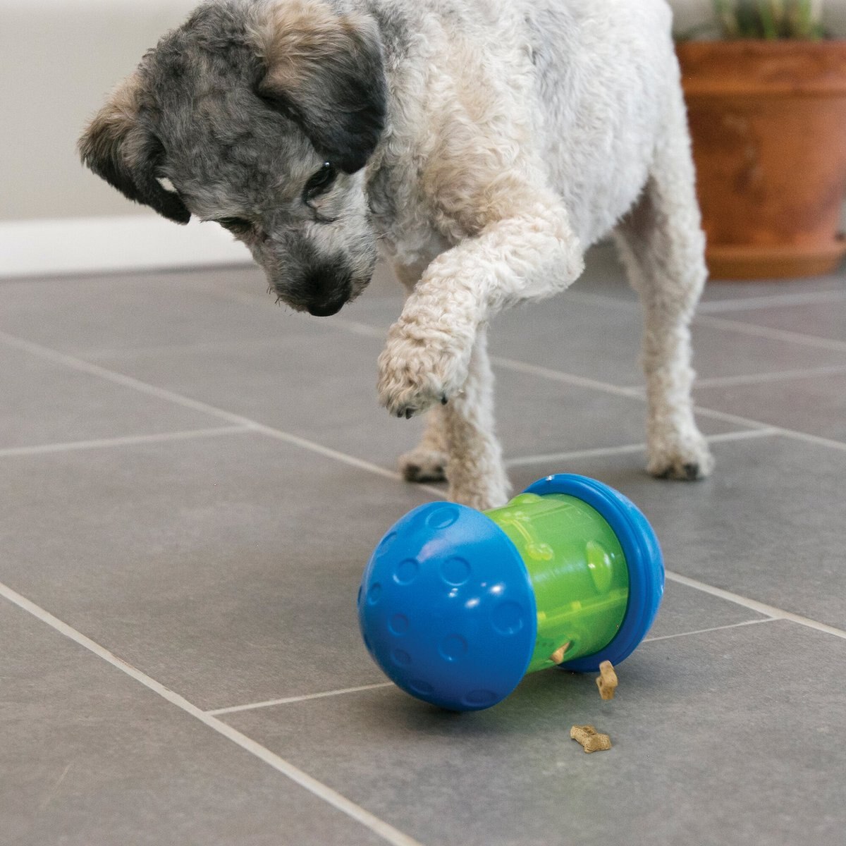 KONG Spin It Dog Toy