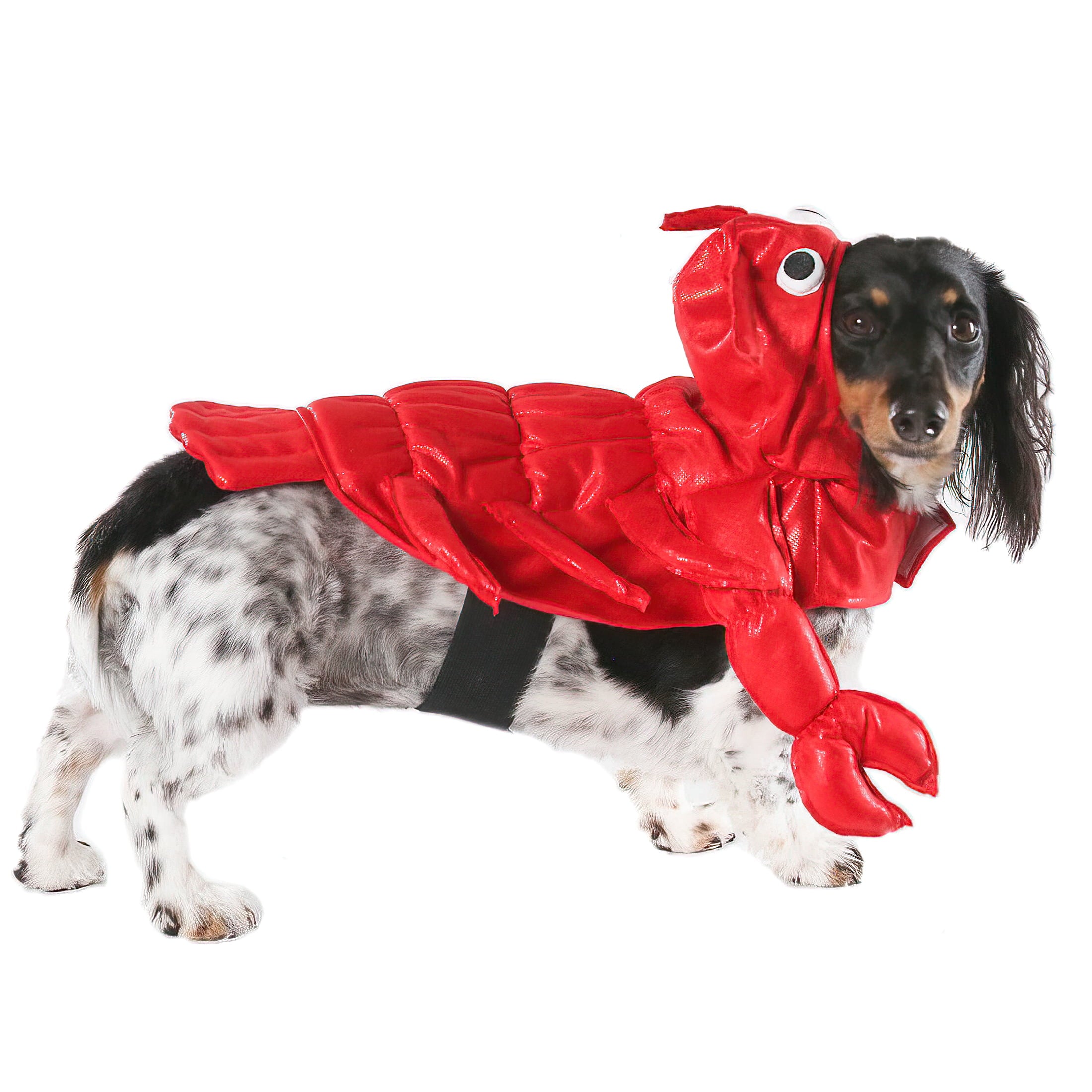 Vibrant Life Halloween Dog Costume and Cat Costume: Lobster， Size Small