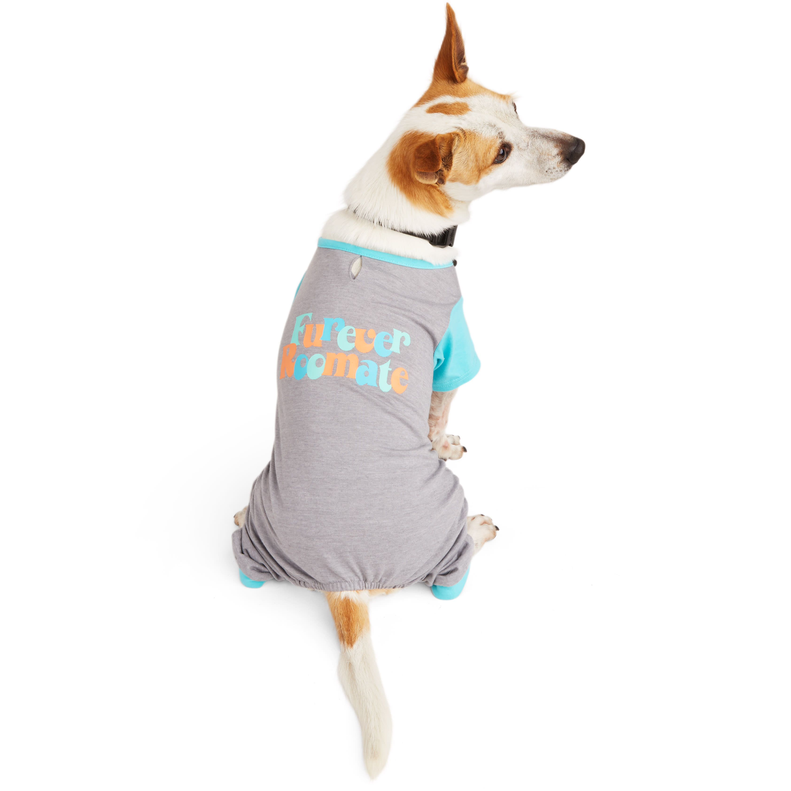 YOULY Furever Roomate Dog Pajama， XX-Large