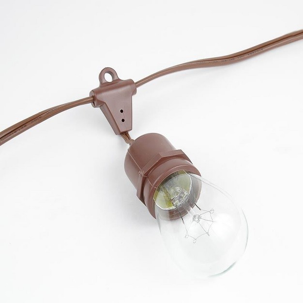 Novelty Lights Edison Outdoor String Lights With 25 Suspended Sockets Brown Wire 37 5 Feet