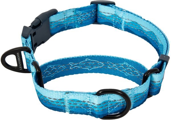 Leashboss Patterned Fabric Martingale Dog Collar