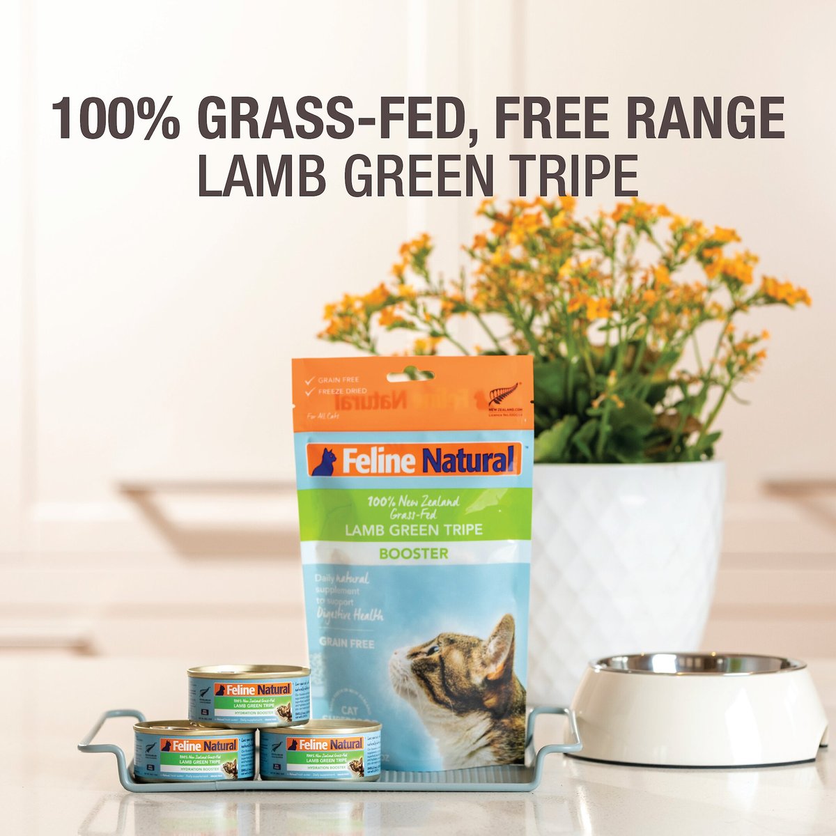 Feline Natural Booster Lamb Green Tripe Freeze-Dried Cat Food Topper