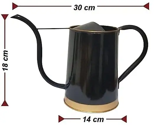 2 liters Long Sprout Watering Can for Plants Black Garden Watering Can Outdoor   Indoor Plants for Living Room Balcony   Home