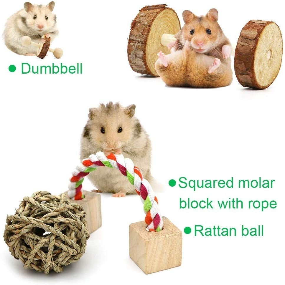 10pcs Natural Wooden Pet Chew Toys Pine Dumbells Unicycle Bell Roller Chew Toy for Hamster Rat Rabbit Play Toy