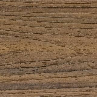 Trex Transcend 1 in. x 6 in. x 1 ft. Havana Gold Composite Deck Board Sample - Brown HGT90000