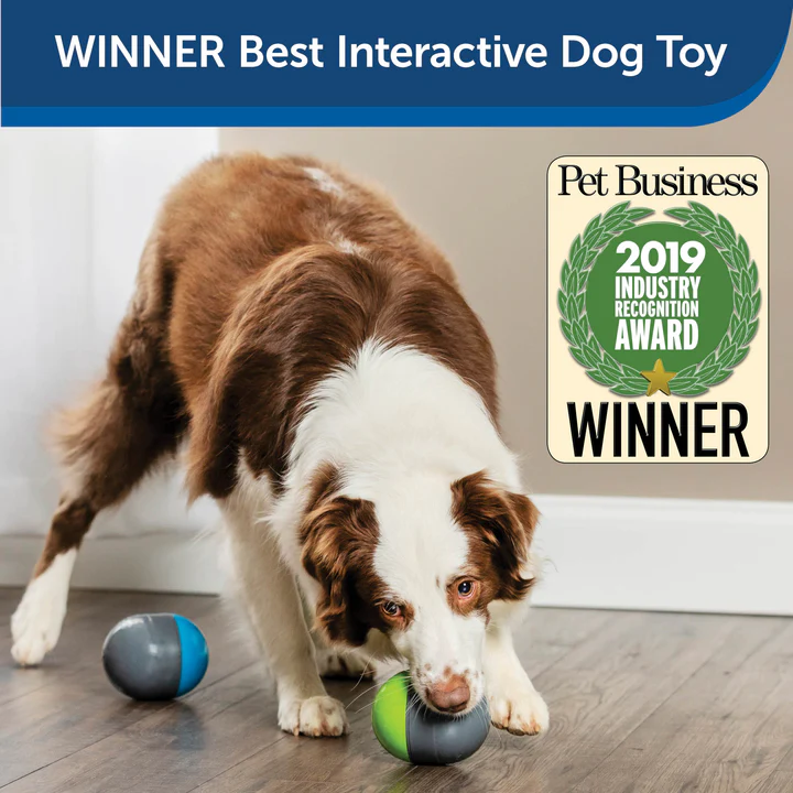 Ricochet Interactive Electronic Dog Toy