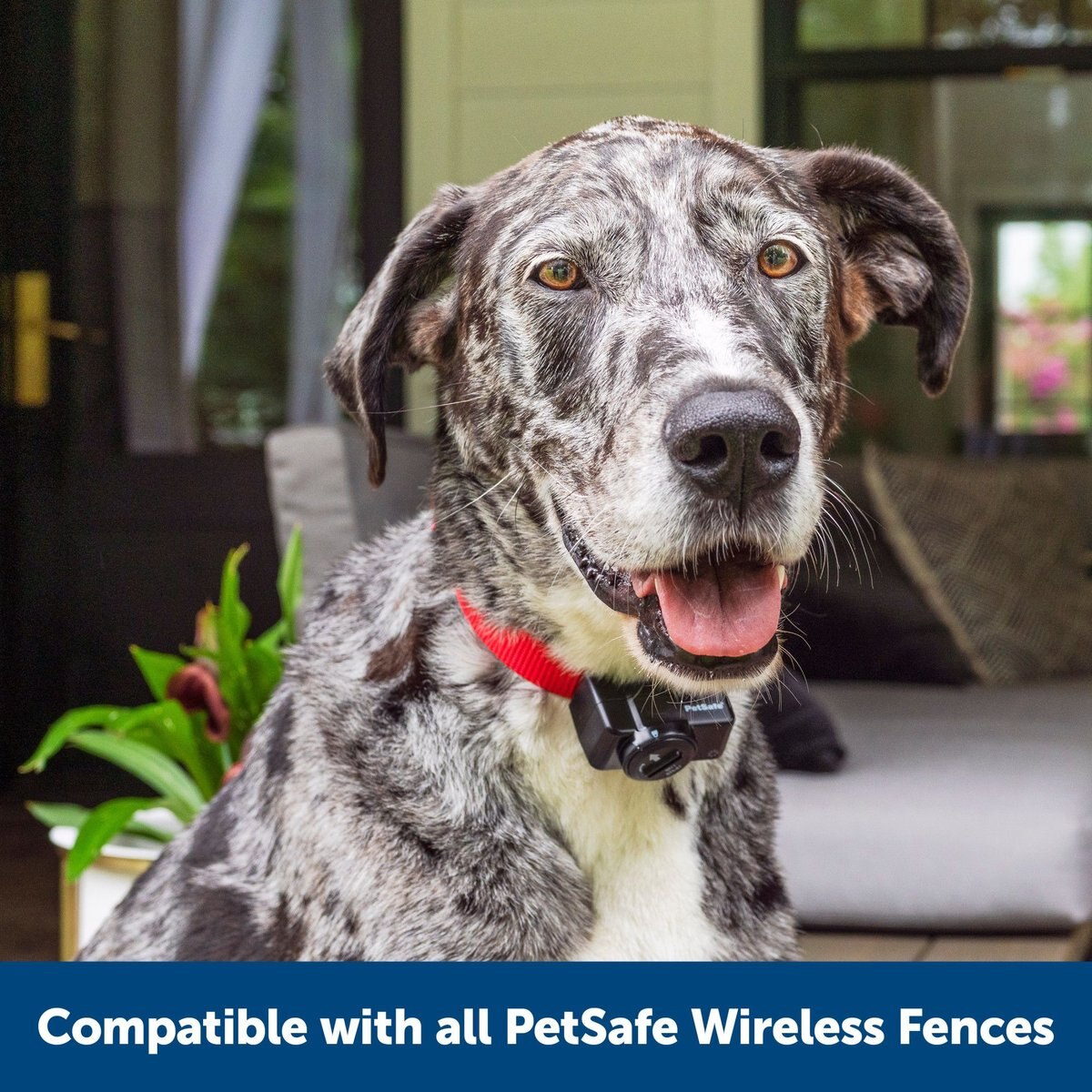 PetSafe Wireless Fence Receiver Collar