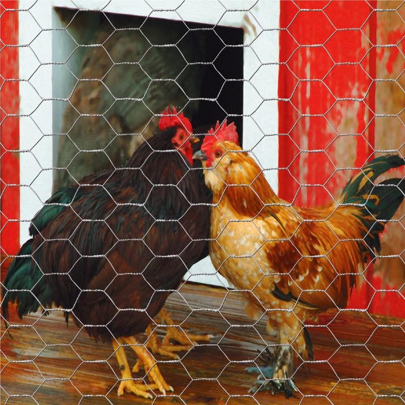 POULTRY NETTING 48