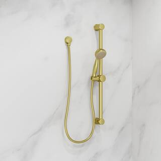 Pfister 3-Spray Hand Shower with Wall Bar in Brushed Gold LG16-300BG