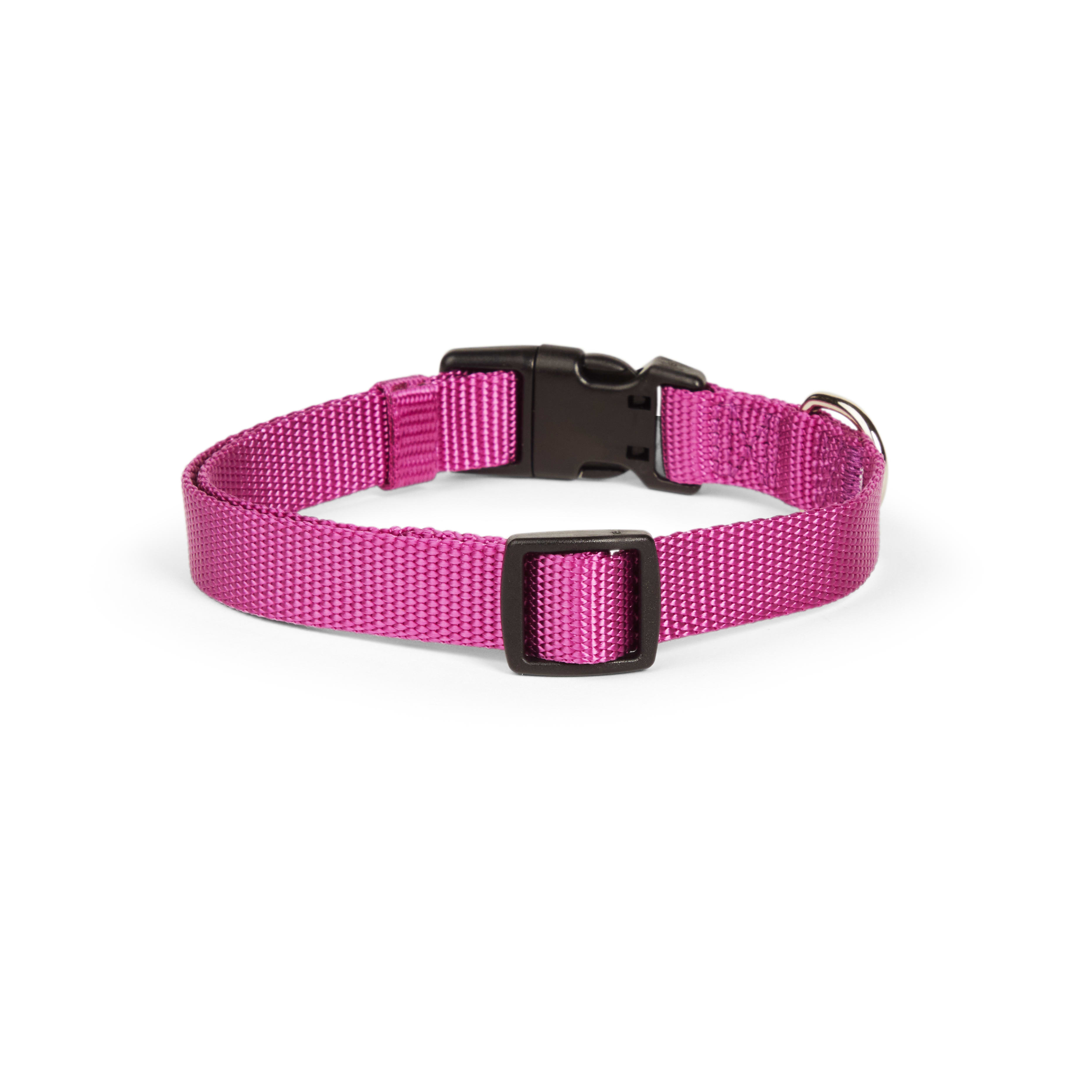 YOULY Berry Adjustable Dog Collar， X-Small