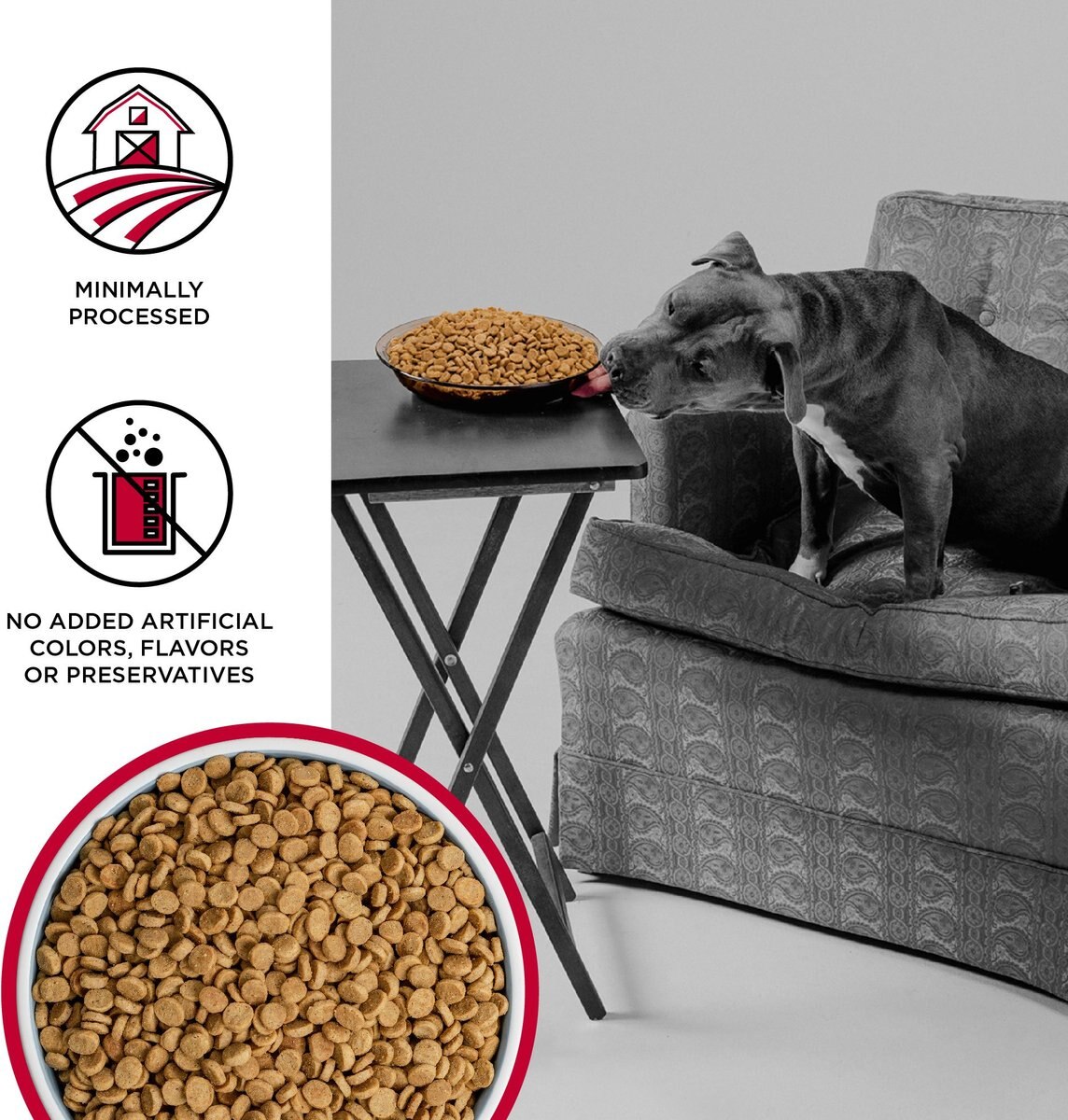 BIXBI Liberty Beef Recipe Grain-Free Dry Dog Food