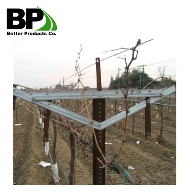 Manufacturer Supply High Quality U Channel Post Agricultural Farm Used Vineyard Metal Trellis Post High Quality Vineyard Stakes