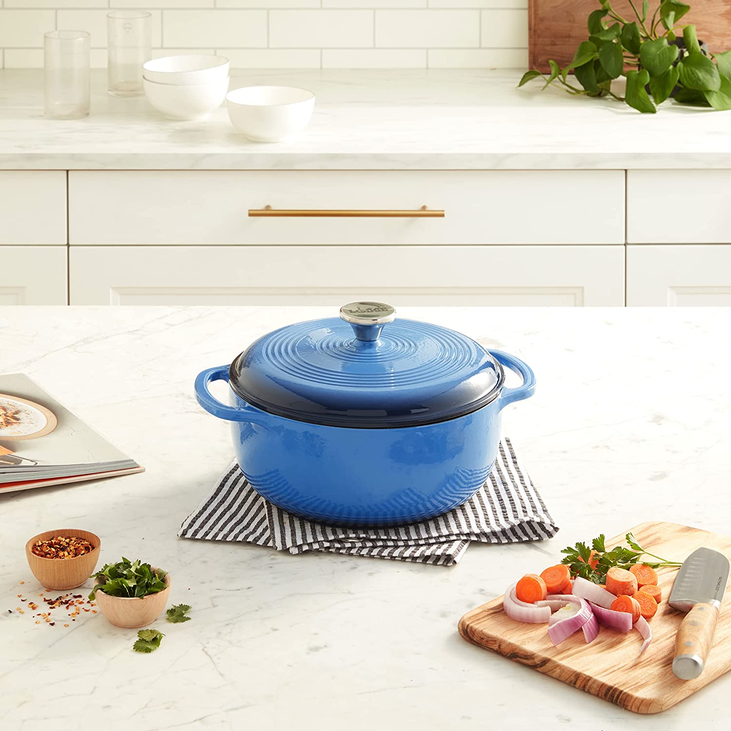 Lodge EC4D33 Enameled Cast Iron Dutch Oven， 4.5-Quart， Caribbean Blue