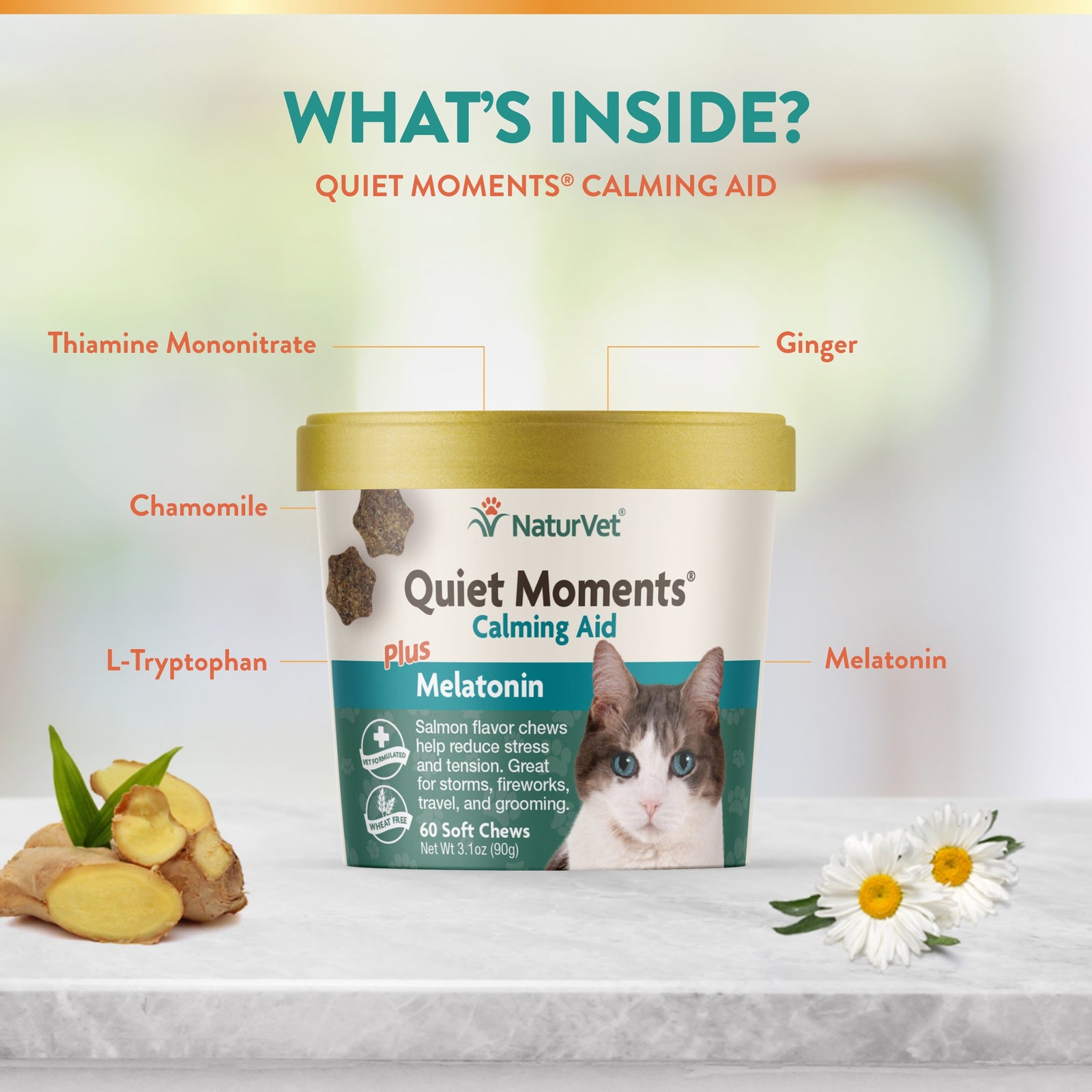 Naturvet Quiet Moments Calming Cat Soft Chew