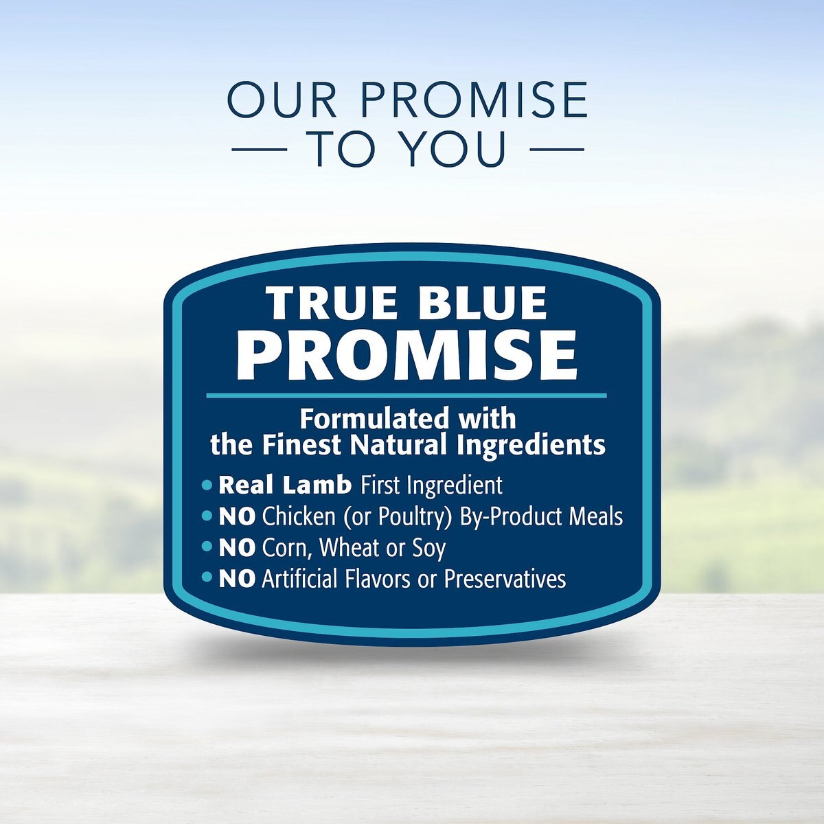 Blue Buffalo Life Protection Formula Puppy Lamb and Oatmeal Recipe Dry Dog Food