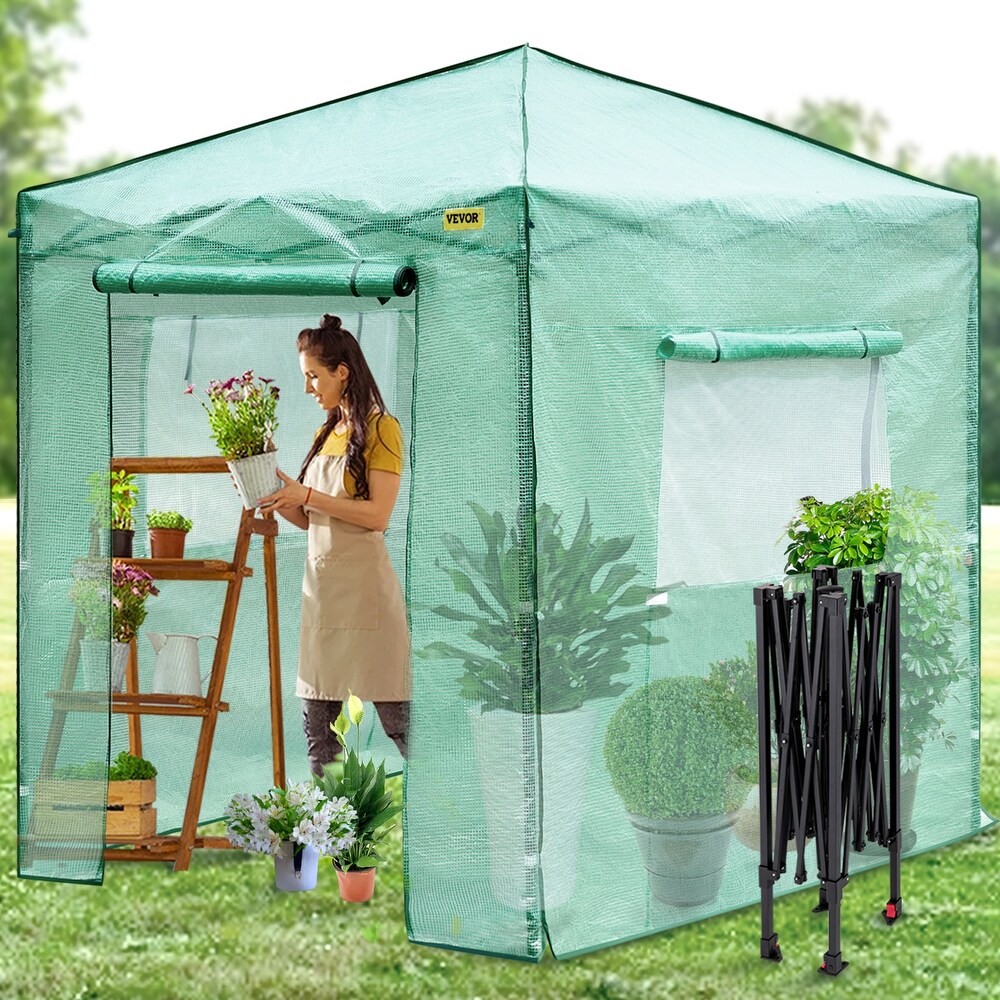 VEVOR Pop Up Greenhouse Portable Greenhouse with Doors   Windows Set Up in Minutes