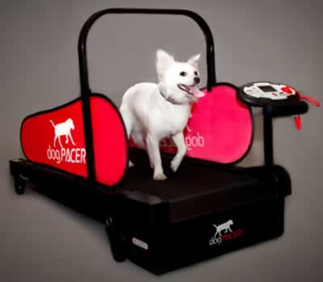 Dog Pacer MiniPacer Treadmill