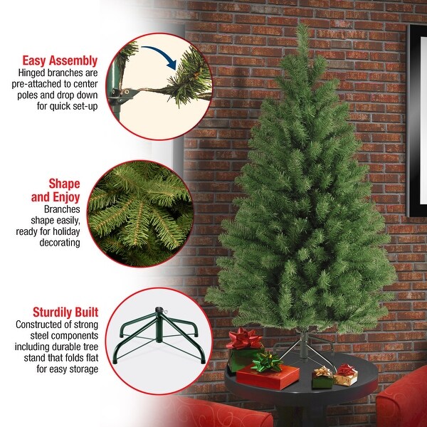 National Tree Company 4 ft. North Valley Spruce Tree