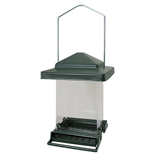 Audubon Vista Squirrel Resistant Bird Feeder， 6lb Capacity， 12.8