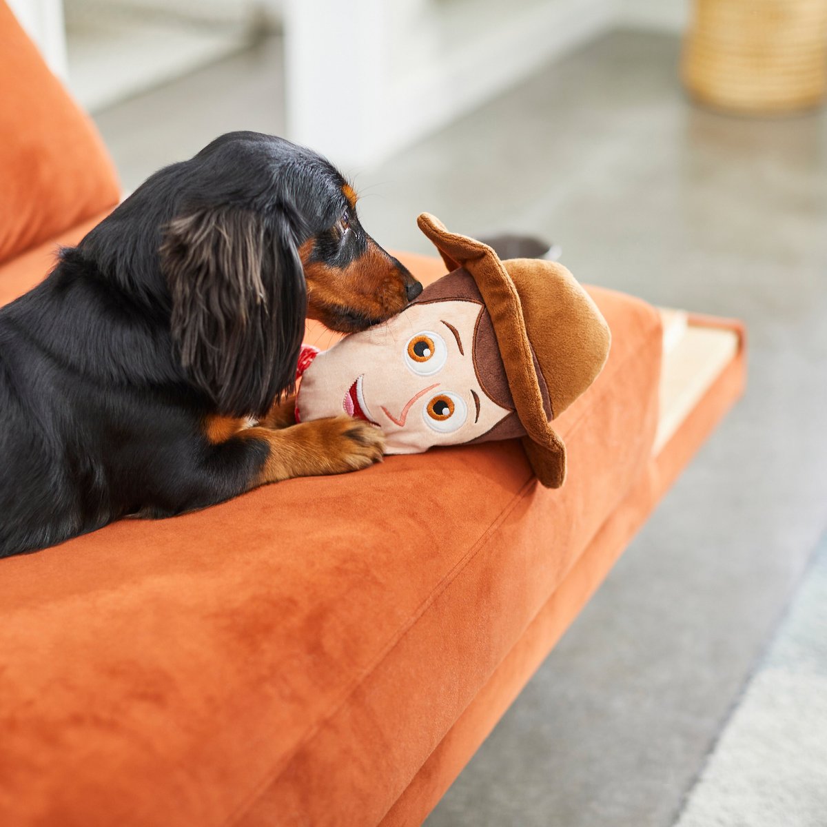 Pixar Woody Round Plush Squeaky Dog Toy