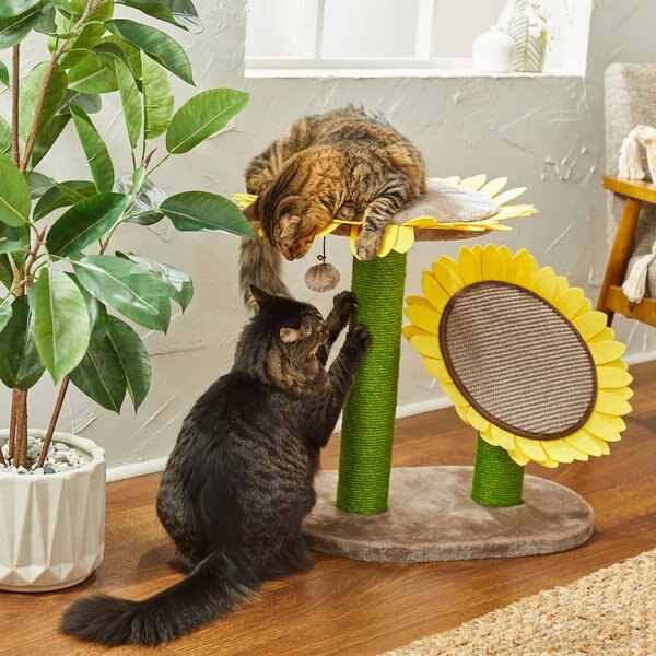 Frisco Sunflower Cat Scratching Post， Two Post with Lounger