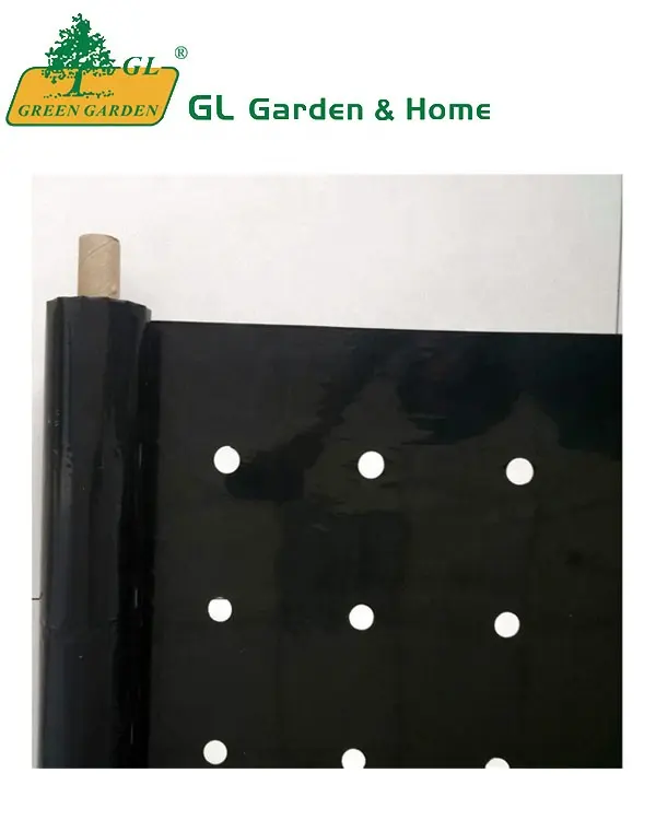 Mulch Film Outdoor Plant Covers Perforated Polythene For Agriculture Ground Cover