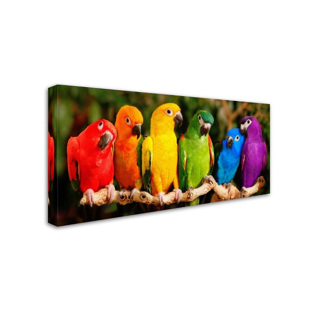 Trademark Fine Art mike Jones Photo x27 rainbow Parrots x27 Canvas Art