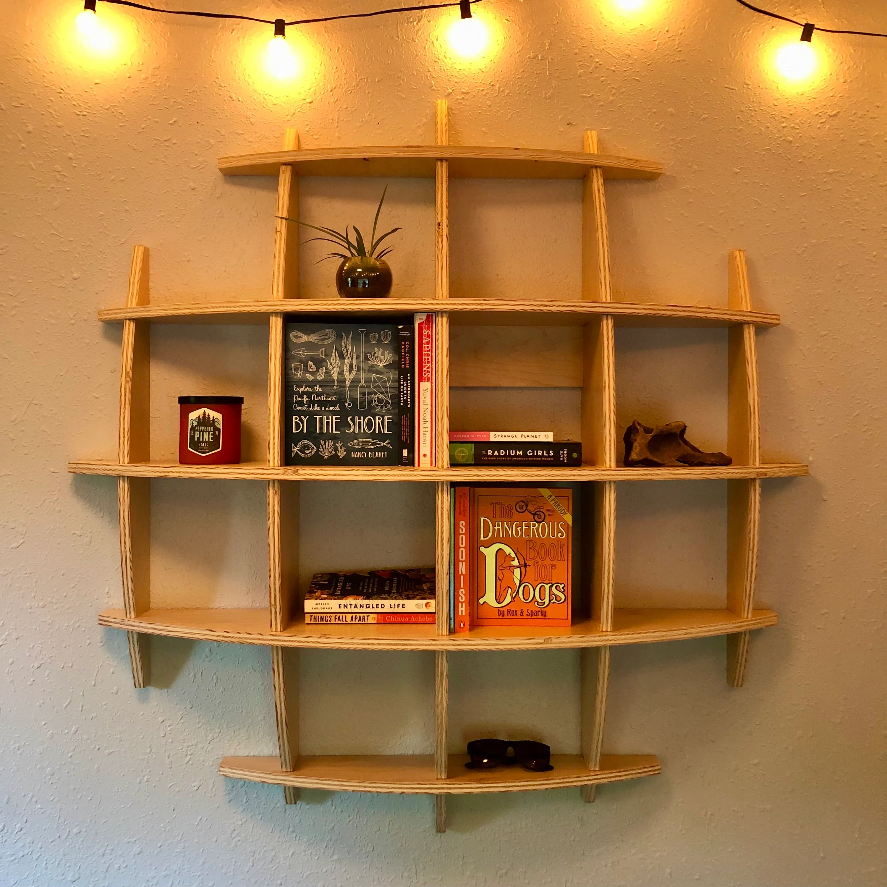 Wooden Wall Shelf, Sphere Bookcase, Round Hanging Wall Geometric Shelf, Office shelf