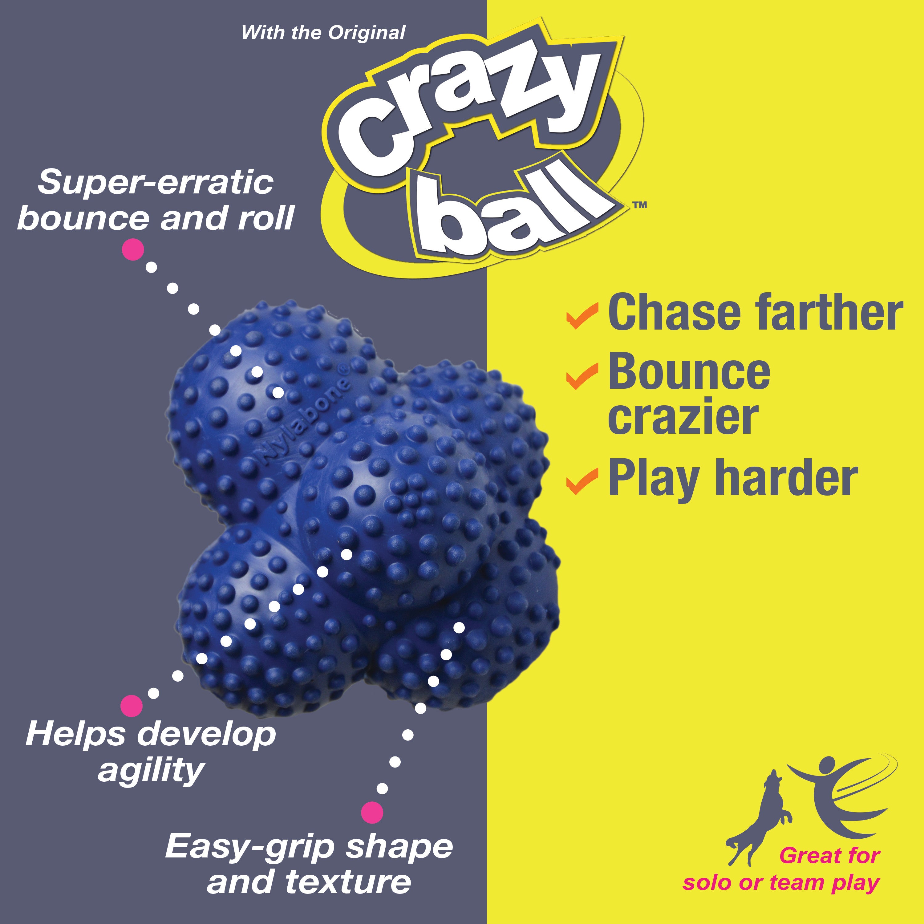 Nylabone Power Play Ball for Dogs Crazy Ball Large (1 Count)