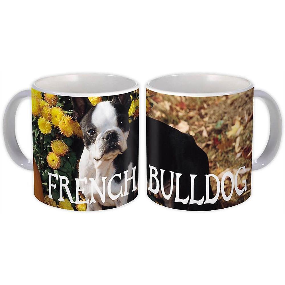 Gift Mug: French Bulldog Lover