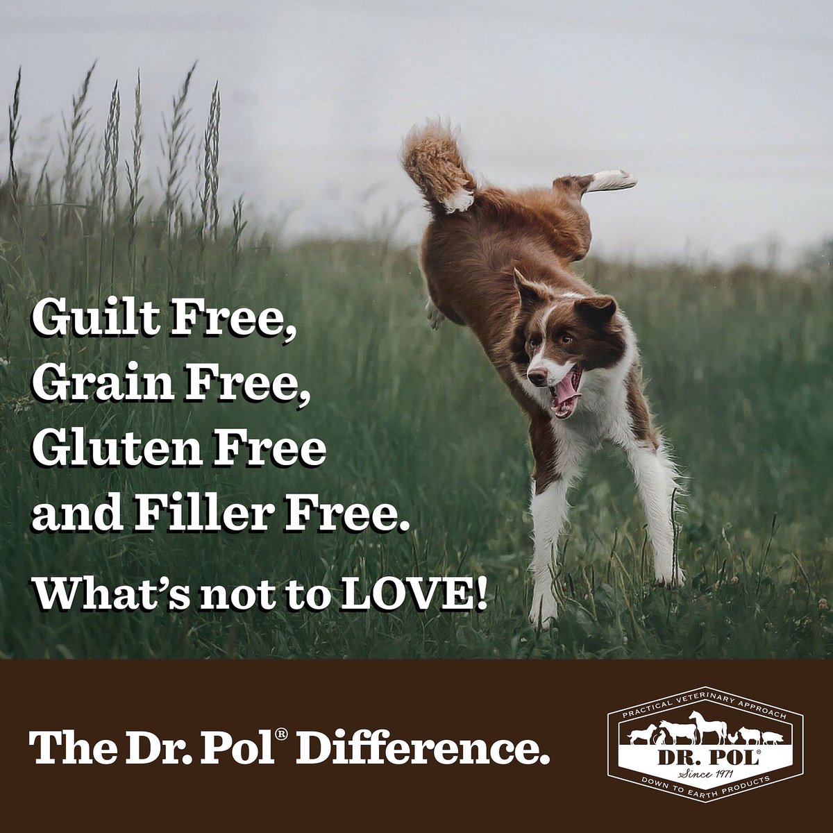 Dr. Pol Salmon Munchies Grain-Free Freeze-Dried Raw Dog Treats