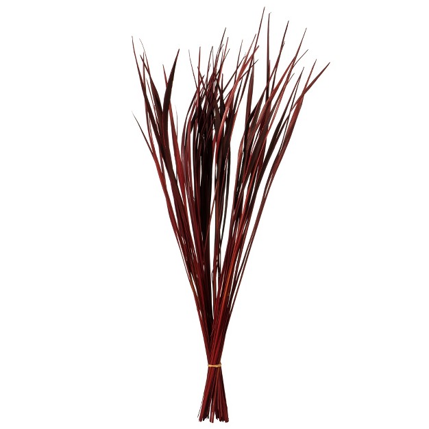 Splinter Grass Bundle， 22oz Dried